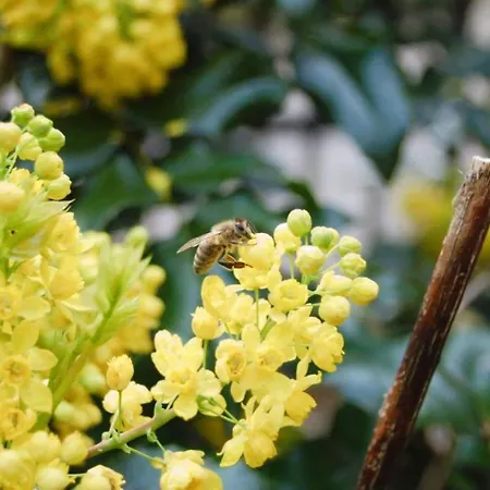 아파트 M&e Cztery Pory Roku Szklarka 25a *