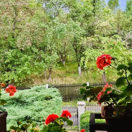 M&e Cztery Pory Roku Szklarka 25a