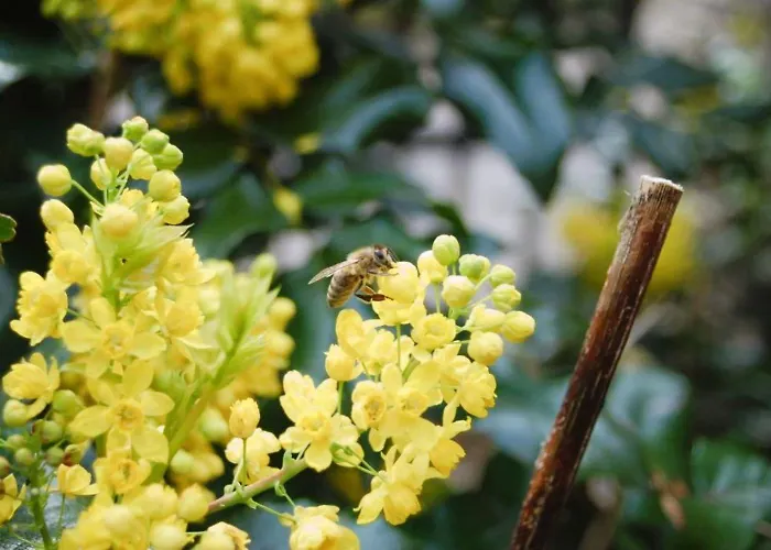 Lejlighed M&e Cztery Pory Roku Szklarka 25a *